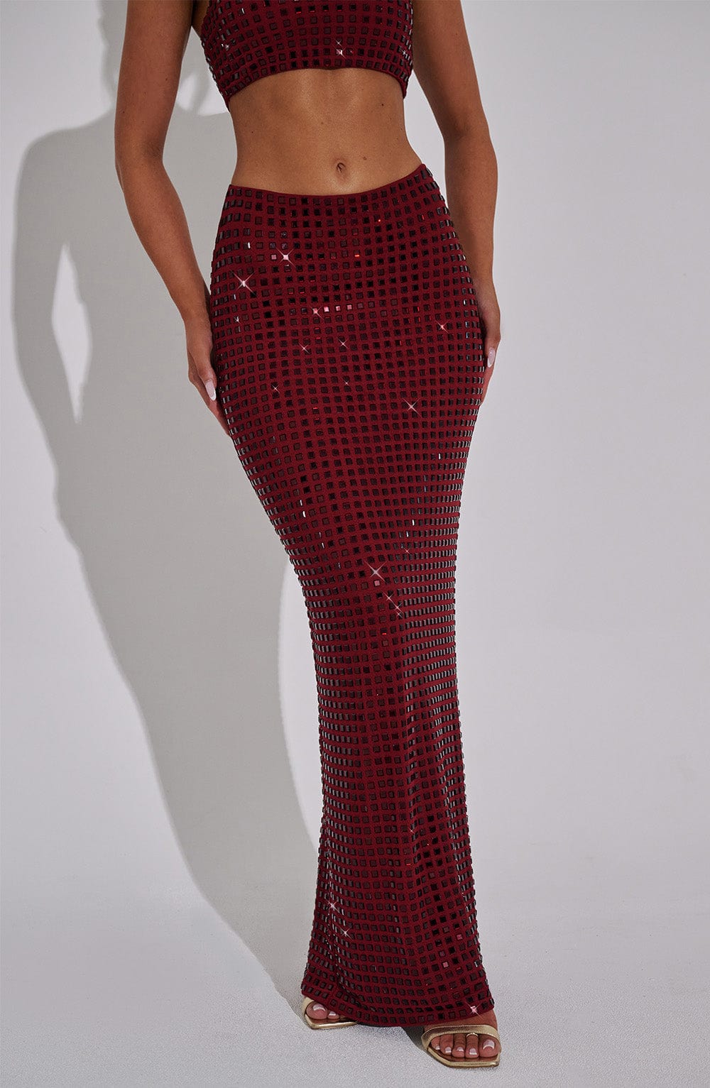Fioraessa Maxi Skirt in Wine by Clandour, product photo 7